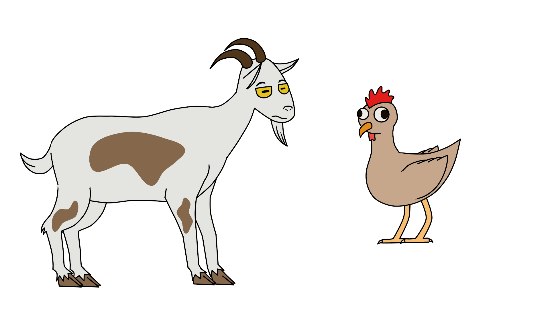 Animals