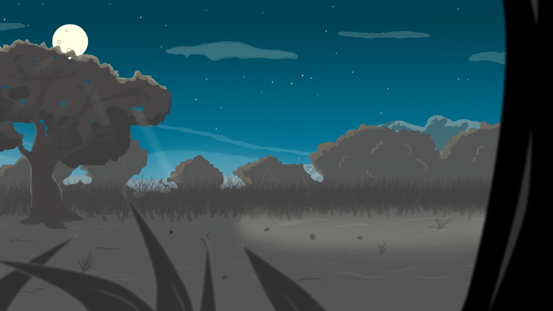 Cane Field1
